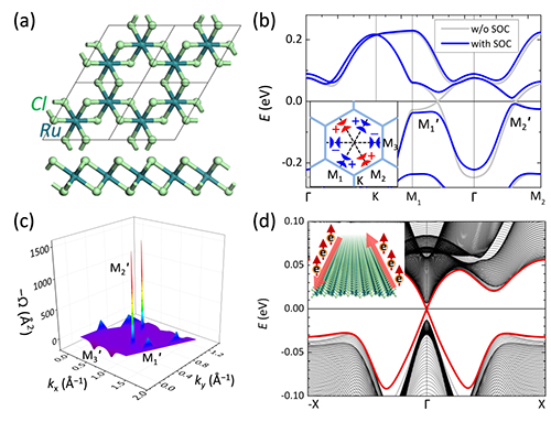cwcl_(刺猬吃了治几种病)  第1张