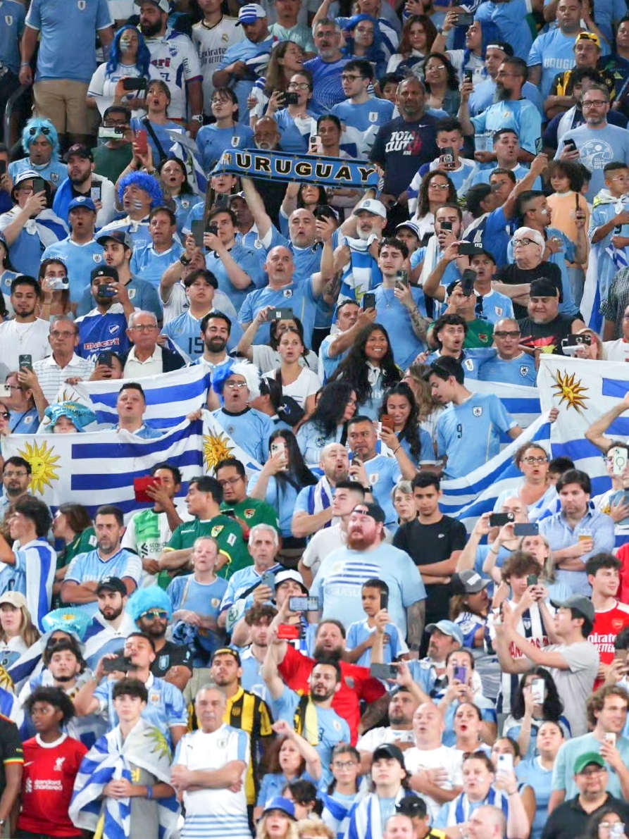 意大利乌拉圭历史战绩_(世界杯意大利乌拉圭) 第1张 意大利乌拉圭历史战绩_(世界杯意大利乌拉圭) 第1张