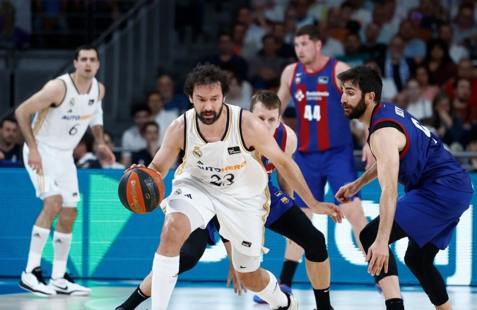 捷篮甲:BK迪辛VS布拉格斯拉维亚  第1张