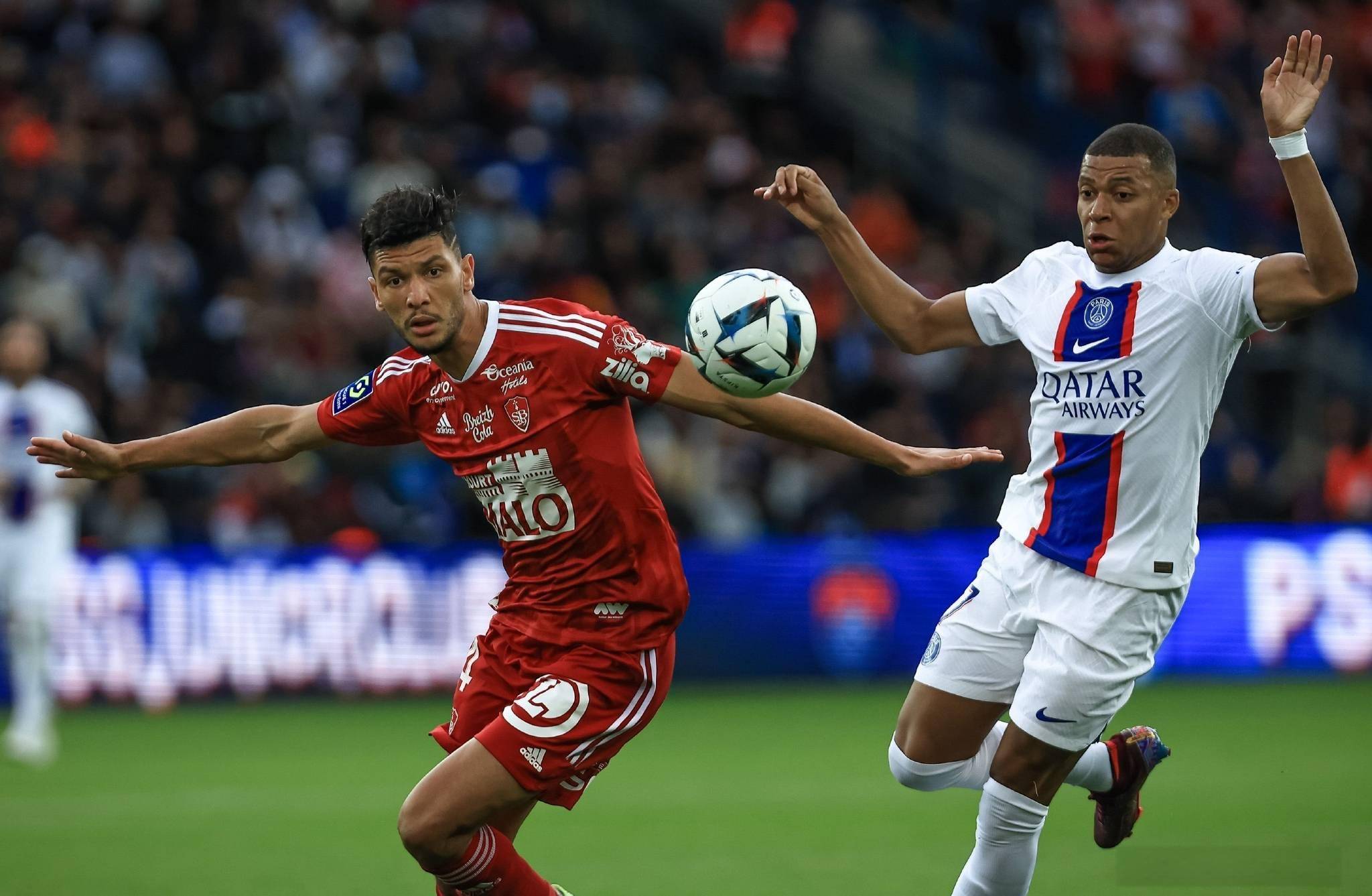 英冠:雷克斯汉姆VS布里斯托尔城的简单介绍 第2张 英冠:雷克斯汉姆VS布里斯托尔城的简单介绍 第2张