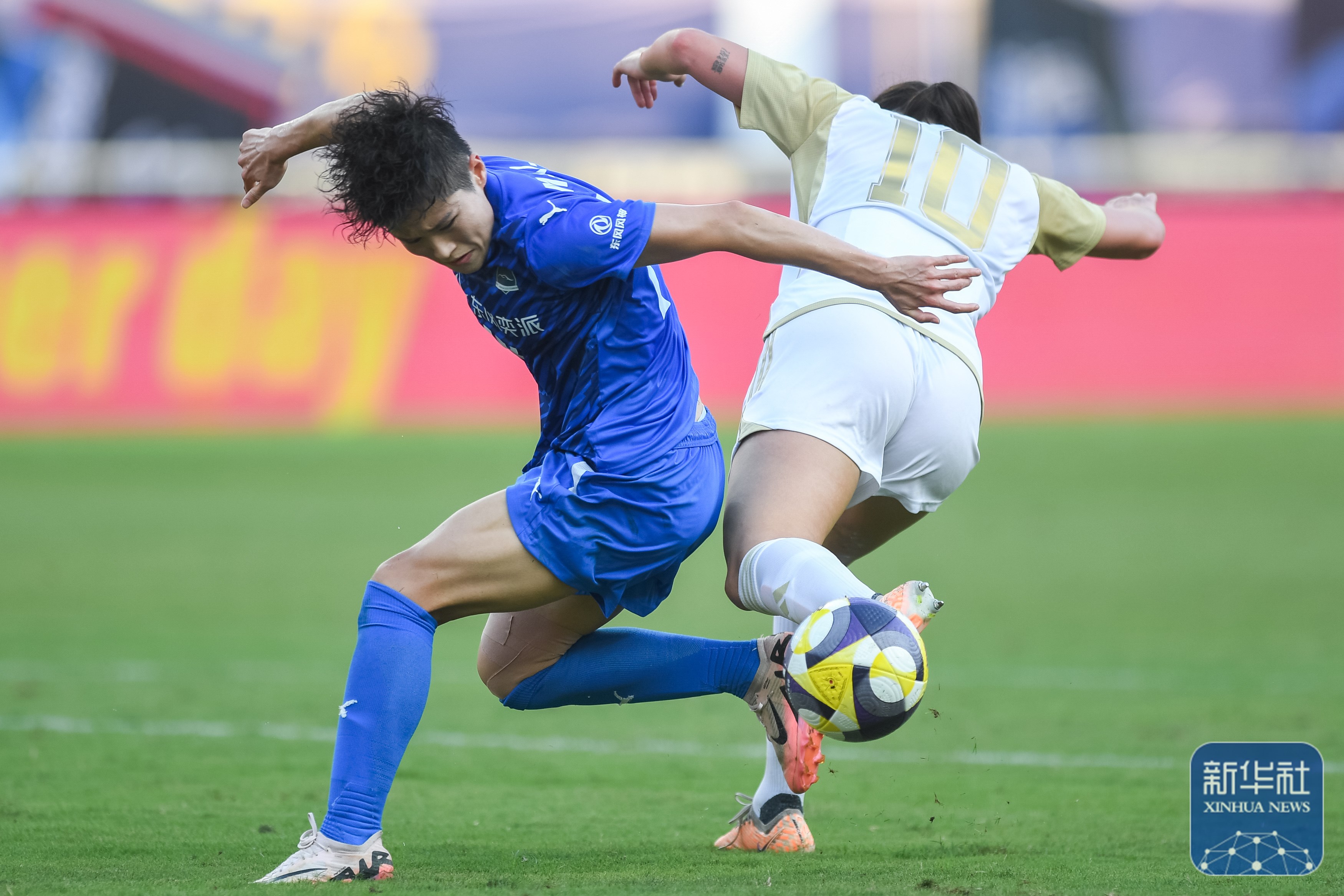 包含新国联女：惠灵顿联女足VS奥克兰联女足的词条  第2张