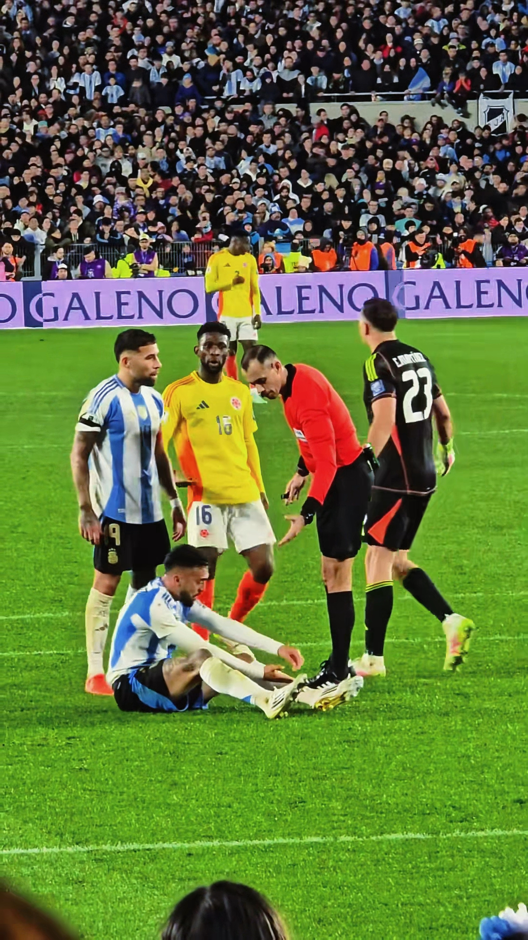 关于世预赛阿根廷VS哥伦比亚前瞻分析阿根廷取胜无忧的信息  第2张