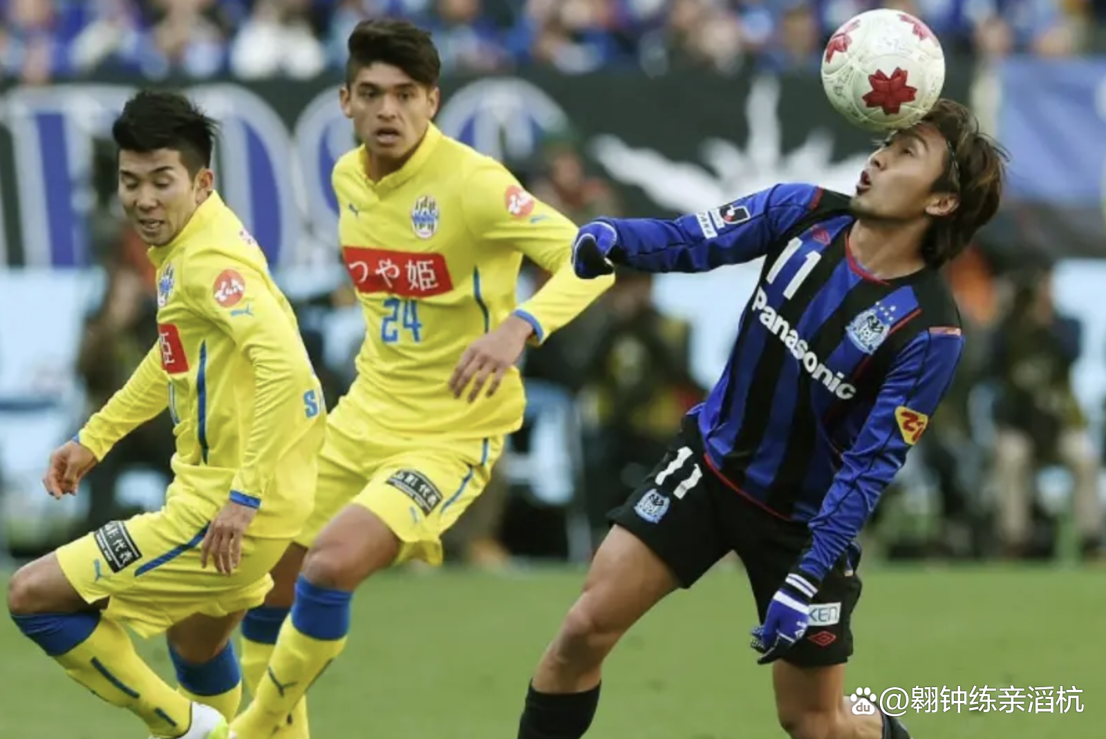 日职乙水户蜀葵VS富山胜利比赛预测水户蜀葵本赛季表现出色的简单介绍  第1张
