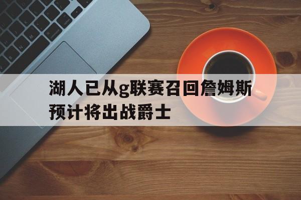 湖人已从g联赛召回詹姆斯预计将出战爵士的简单介绍  第1张