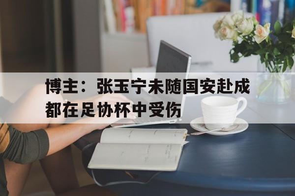 博主：张玉宁未随国安赴成都在足协杯中受伤的简单介绍  第1张