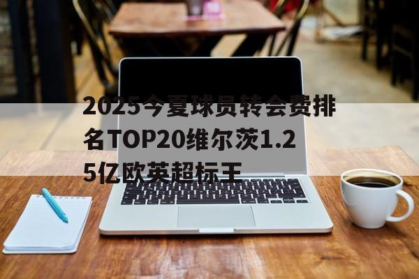 2025今夏球员转会费排名TOP20维尔茨1.25亿欧英超标王的简单介绍  第1张