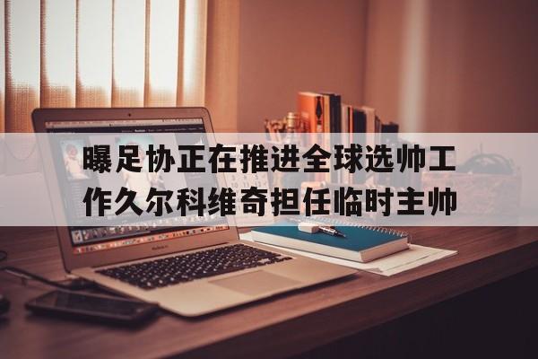 曝足协正在推进全球选帅工作久尔科维奇担任临时主帅的简单介绍  第1张