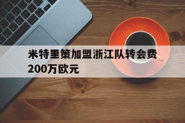 米特里策加盟浙江队转会费200万欧元的简单介绍