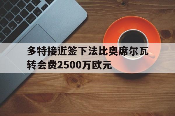 关于多特接近签下法比奥席尔瓦转会费2500万欧元的信息  第1张